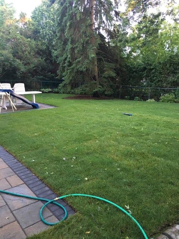 How to Level a Bumpy Lawn - DIY LAWN EXPERT